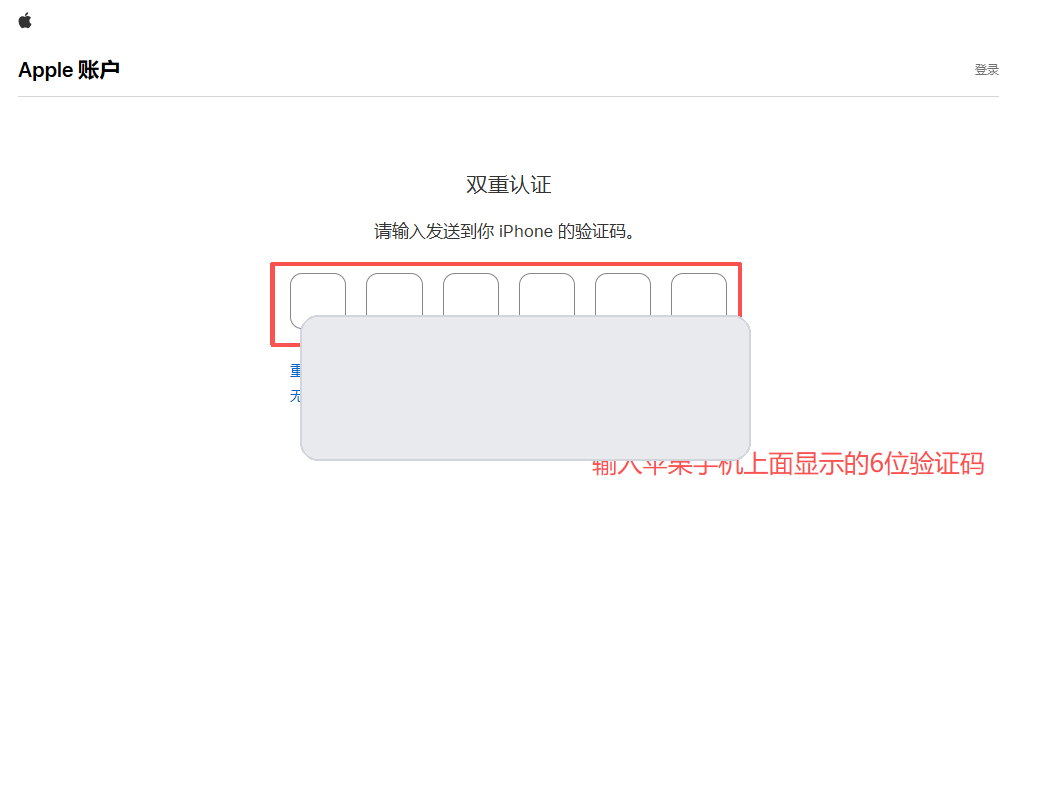 网页端输入 Apple 验证码
